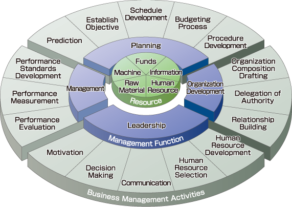 Management Structure