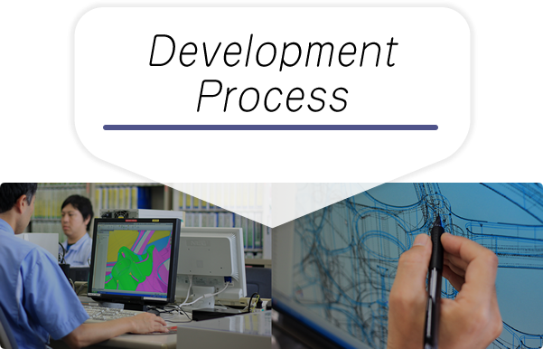 Development Process